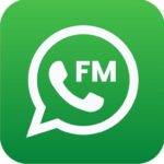 Download WhatsApp Mod APK FM V18.80 Terbaru